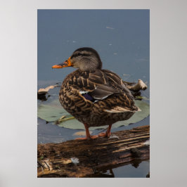De tijd doden poster
