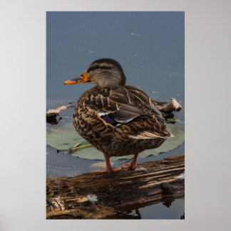 De tijd doden poster