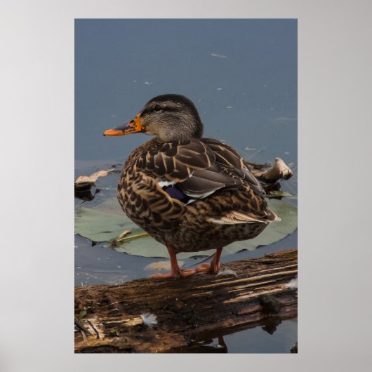 De tijd doden poster (Voorkant)