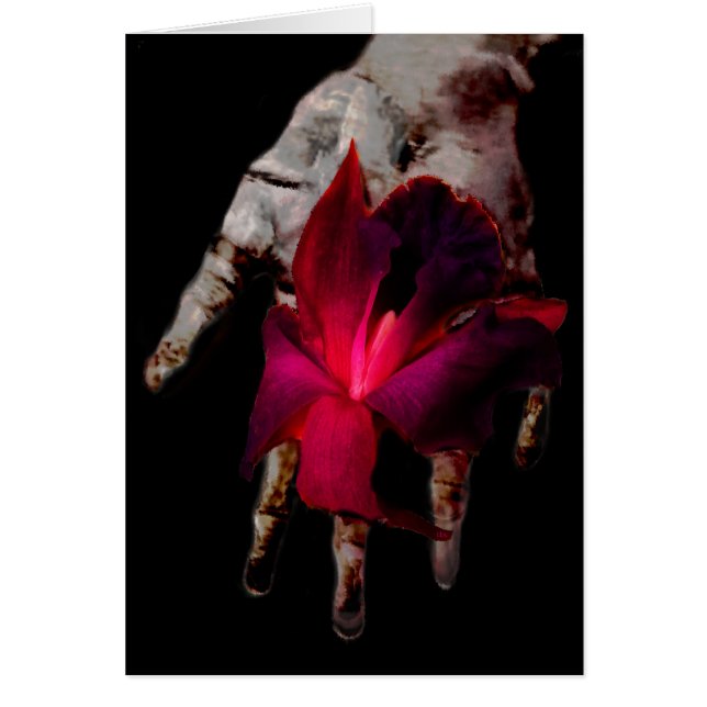 De tijdtest (Voorkant)