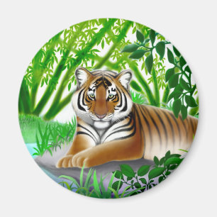 De Tijger van Sumatran in de Magneet van het