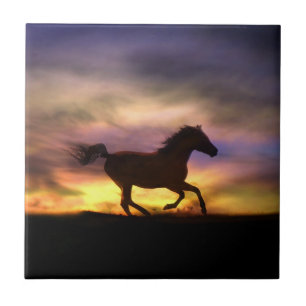 De Titel van de Kunst van het paard Tegeltje