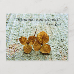"De toekomst hangt af van wat je vandaag doet" Bri Briefkaart