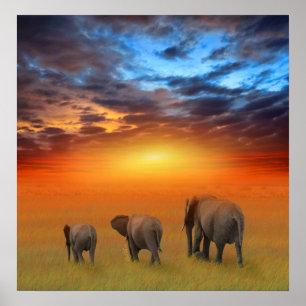 De toekomst is helder poster