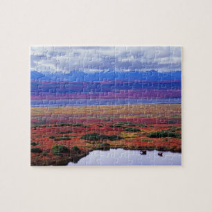 De toendra van Denali National Park in de late Legpuzzel
