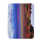 De toendra van het nationale park Denali aan het e Magneet (Verticaal)