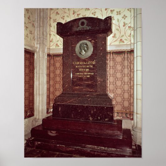 De tombe van Carl Linnaeus Poster (Voorkant)