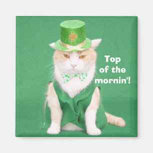 De top van de ochtend. magneet