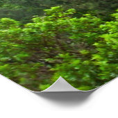 De top van Pali Lookout poster op Oahu (Hoek)