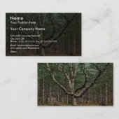 De tovenaarsstructuur, Cathedral-Bossen, Intervale Visitekaartje (Voorkant / Achterkant)