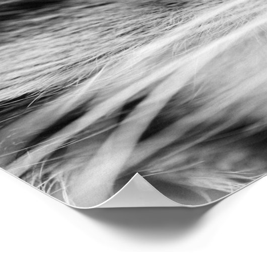 De trap poster (Hoek)