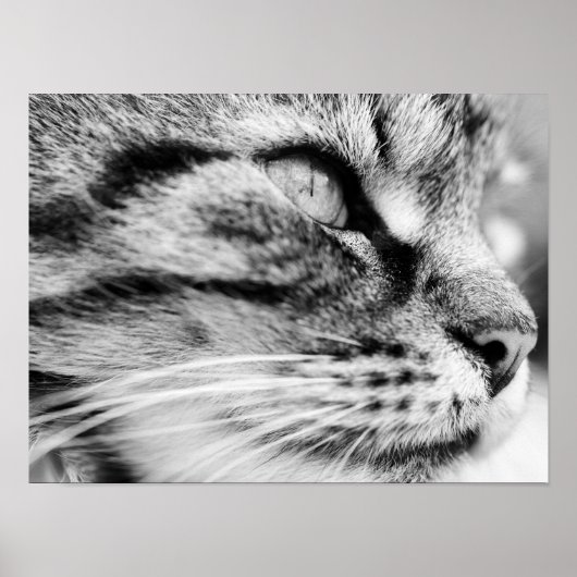 De trap poster (Voorkant)