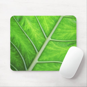 De tropische Groene Foto Mousepad van de Natuur Muismat