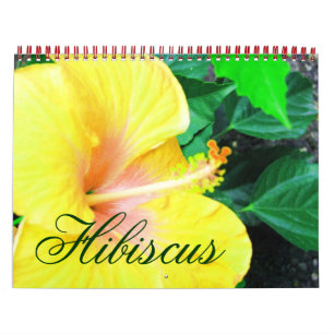 De tropische Hibiscus bloeit Kalender