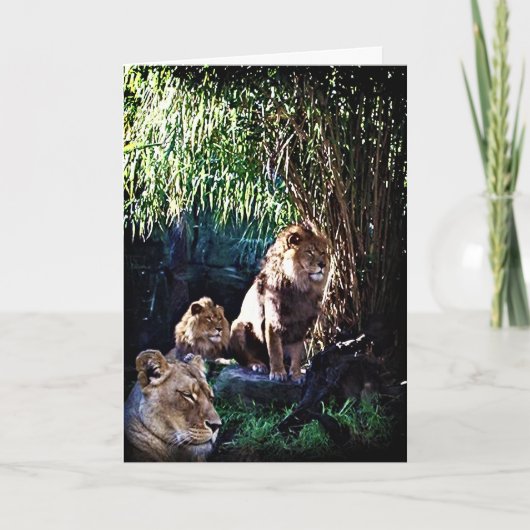 De trots, wenskaart kaart (Voorkant)