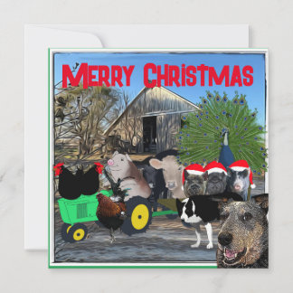 De tuin van de keuken vol cast feestdagenkaart