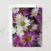 De Tuin van de Vlinder van het Boeket van de Briefkaart (Voorkant / Achterkant)