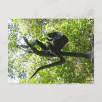 De Tuin van het Beeldhouwwerk van Umlauf, Austin