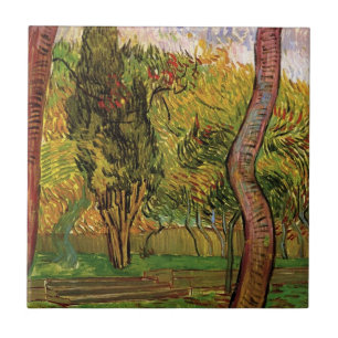 De tuin van het Saint-Paul Ziekenhuis door Vincent Tegeltje