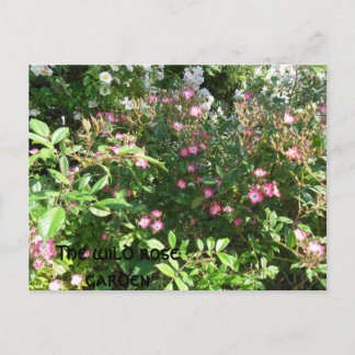 De tuin voor wilde rozen briefkaart