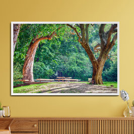 De tuinen van de Calouste Gulbenkian Foundation. Foto Afdruk