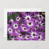 De Tuinen van Longwood, PA Briefkaart (Voorkant / Achterkant)