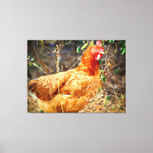 De Tuininspecteur Canvas Afdruk