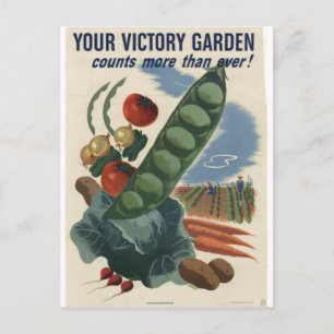 De tuinposter van de overwinning, Oorlog van de Briefkaart
