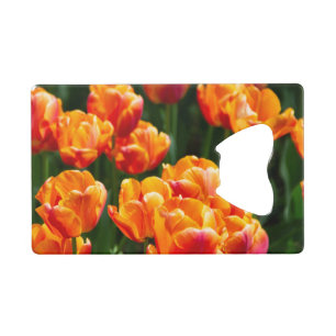 De tulipes orange vif dans le parc