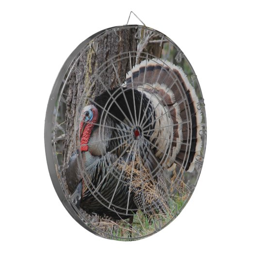 DE TURKIJE Dart Board Dartbord (Voorkant Links)