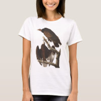 De Turkse cultuur van Audubon