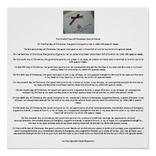 De twaalf dagen bijzondere kerstbehoeften (AVSNR) Perfect Poster