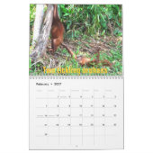 De twaalf kerstdagen van orang-oetans kalender (Feb 2027)