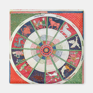 De twaalf signalen van de Zodiac en de Zon Magneet