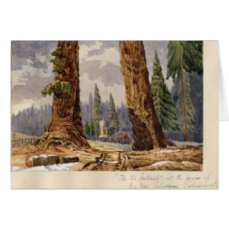 De twee Sentinels, op de Grove of Big Trees