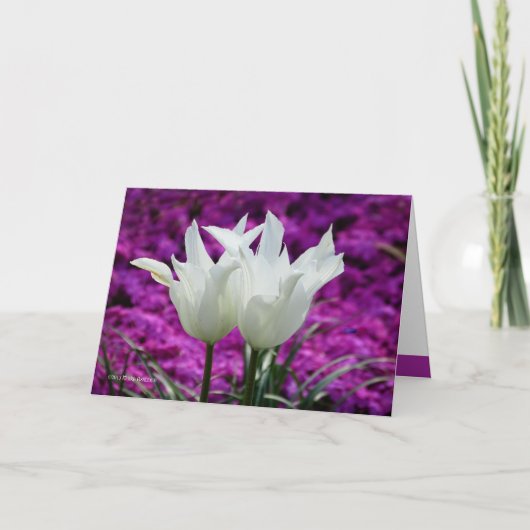 De twee van ons kaart (Voorkant)