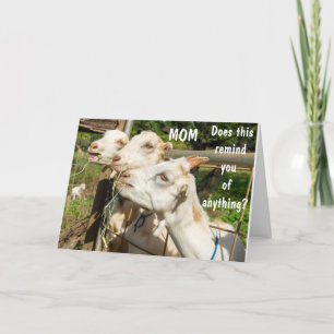 DE TWEEDE DAG WIL OP JE DAG NAAR MIJN MOM! KAART