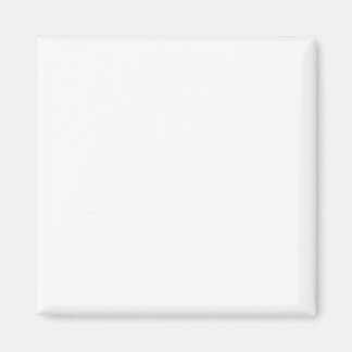 De tweeling 44 magneet