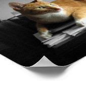 De typist poster (Hoek)