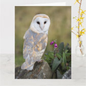 De Uil en de Digitalis van de schuur Kaart (Gele Bloem)