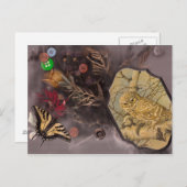 De uil en de vlinder briefkaart (Voorkant / Achterkant)