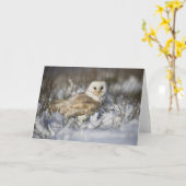 De Uil van de schuur in Sneeuw Kaart (Gele Bloem)