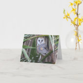 De Uil van de schuur - Joe Sweeney - kaart (Gele Bloem)