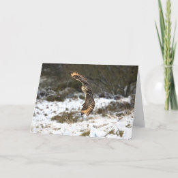 De Uil van Eagle tijdens de vlucht Kaart