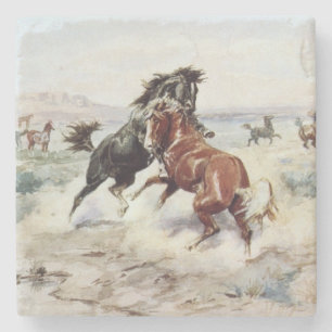 De uitdaging (mannelijke paarden vechten) stenen onderzetter