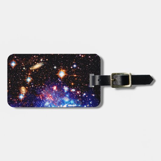 De uiteindelijke grens bagagelabel (Voorkant horizontaal)