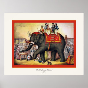 De uitvoerende ellefant ~ Circus Poster
