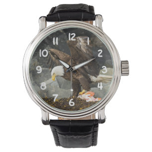 De ultieme Bald Eagle Horloge