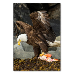 De ultieme Bald Eagle Kaart