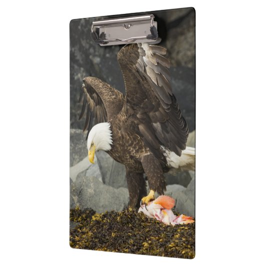 De ultieme Bald Eagle Klembord (Links)